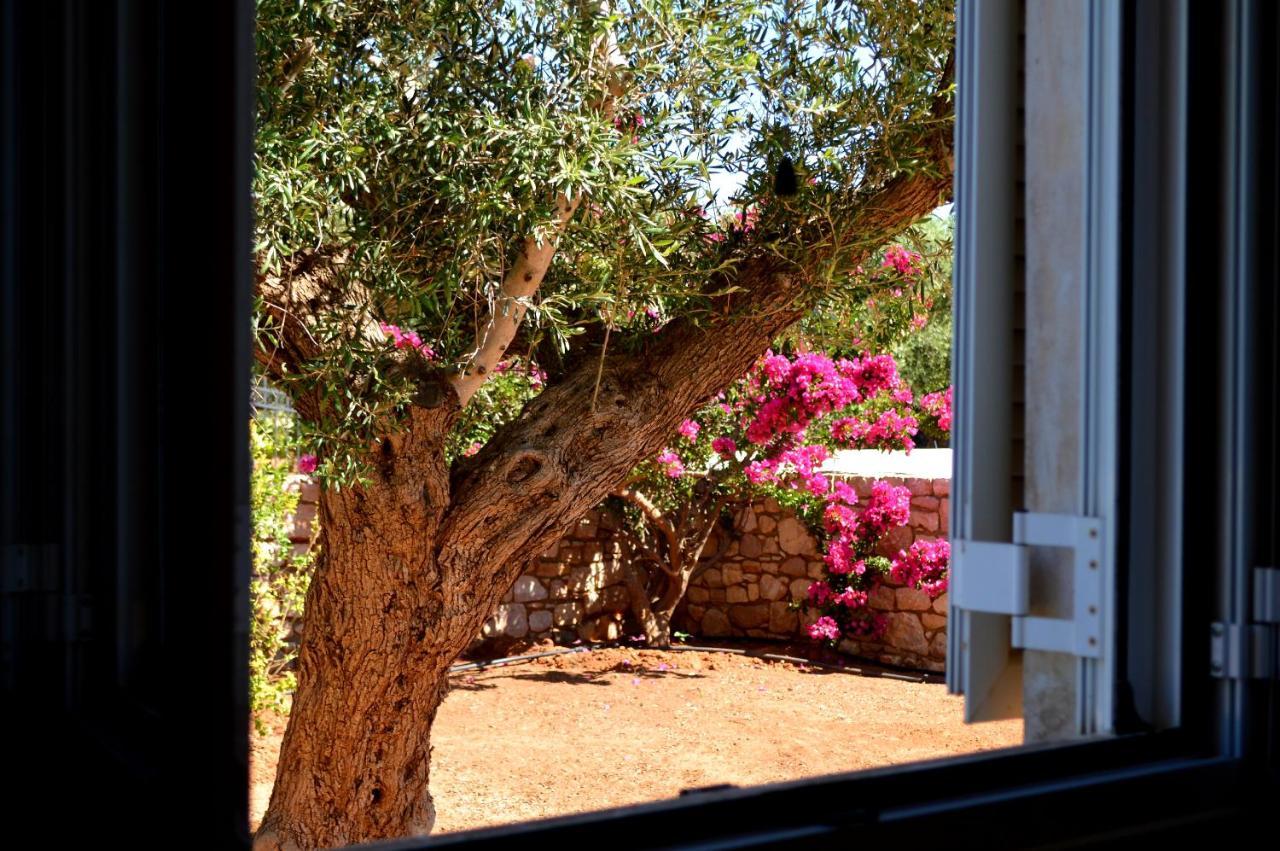 Villa Stamatis Agii Apostoli  Dış mekan fotoğraf